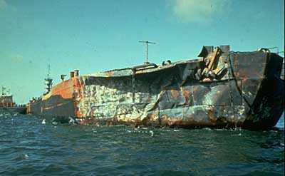 ���� ����� ������� ��155 �� ���� ����� ��� 1993